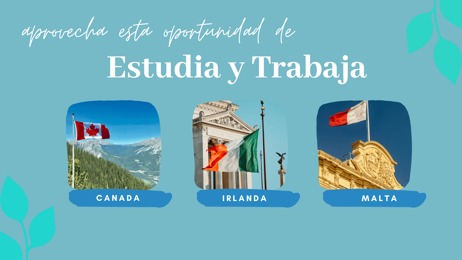 Estudia y trabaja en Canadá, Irlanda o Malta: opciones flexibles todo el año